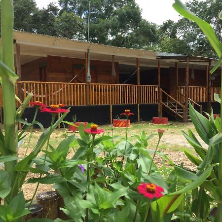 Hostal Cano Nevera La Macarena Eksteriør bilde